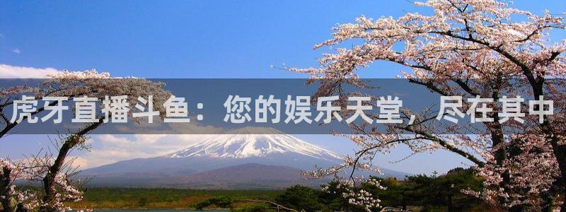 蜘蛛体育小狐狸：虎牙直播斗鱼：您的娱乐天堂，尽在其中