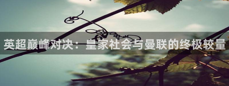 nba在线直播免费观看直播蜘蛛直播：英超巅峰对决：皇家社会与曼联的终极较量