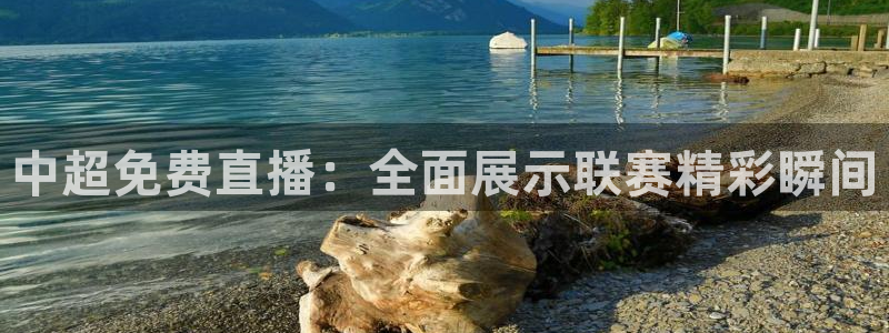 蜘蛛体育直播：中超免费直播：全面展示联赛精彩瞬间