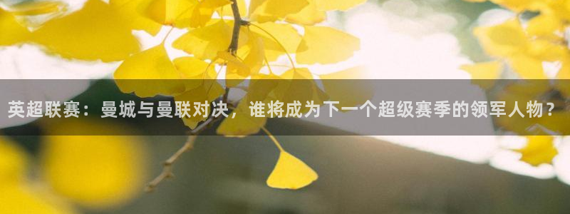 蜘蛛直播体育免费：英超联赛：曼城与曼联对决，谁将成为下一个超级赛季的领军人物？