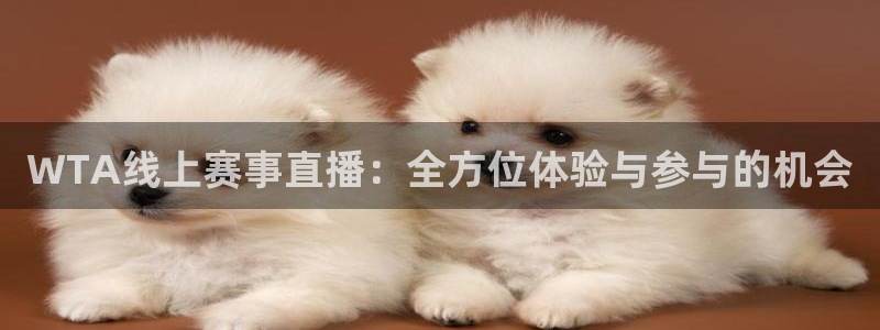 蜘蛛体育官网入口：WTA线上赛事直播：全方位体验与参与的机会