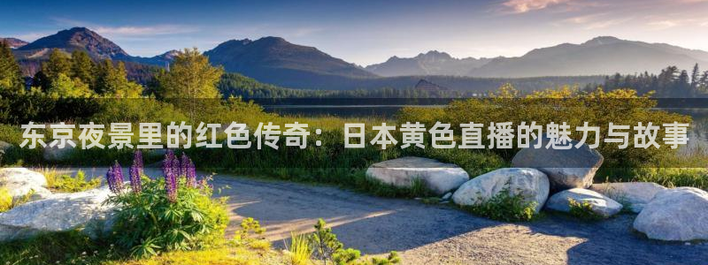 蜘蛛直播体育足球：东京夜景里的红色传奇：日本黄色直播的魅力与故事