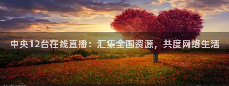 蜘蛛直播nba免费观看：中央12台在线直播：汇集全国资源，共度网络生活