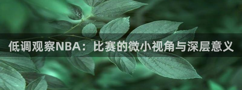 蜘蛛体育nba：低调观察NBA：比赛的微小视角与深层意义