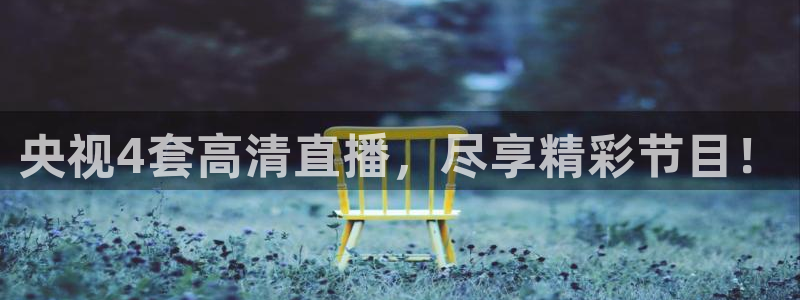 蜘蛛直播体育免费直播：央视4套高清直播，尽享精彩节目！