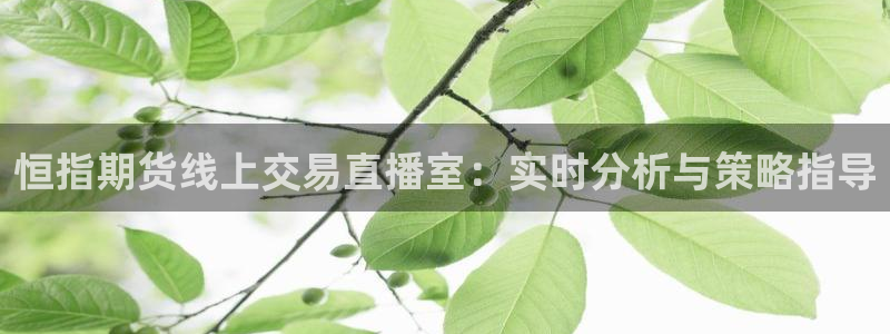 蜘蛛体育直播小狐狸：恒指期货线上交易直播室：实时分析与策略指导