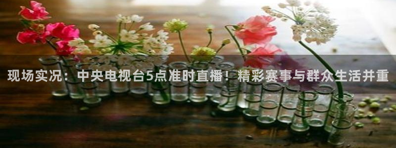 nba蜘蛛免费直播：现场实况：中央电视台5点准时直播！精彩赛事与群众生活并重