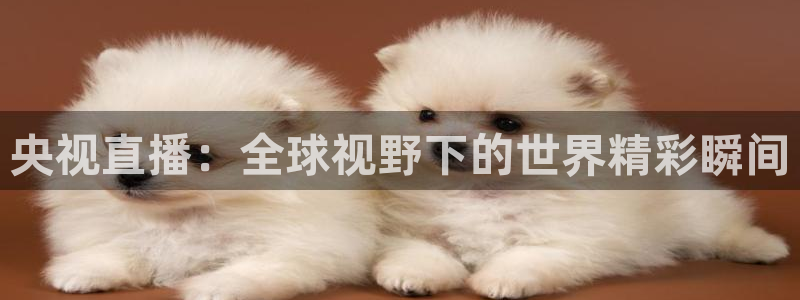 蜘蛛体育直播：央视直播：全球视野下的世界精彩瞬间