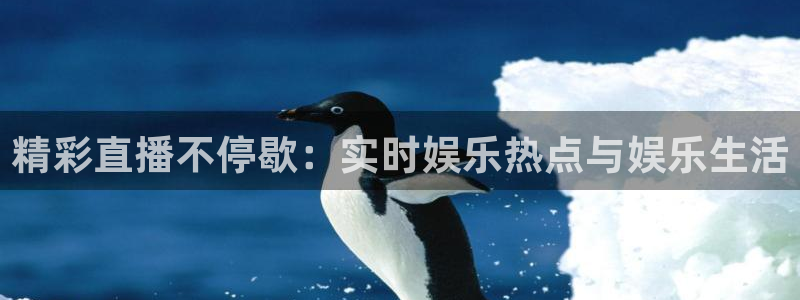 nba蜘蛛免费直播：精彩直播不停歇：实时娱乐热点与娱乐生活