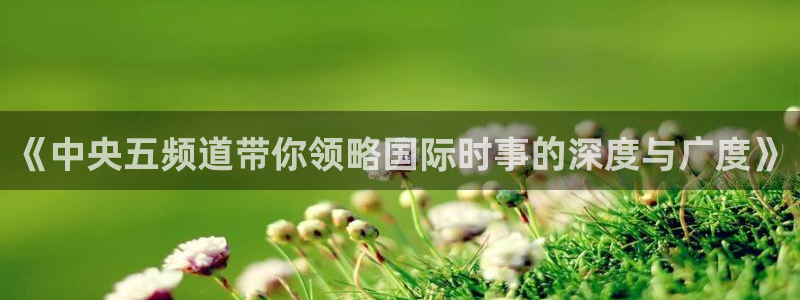 蜘蛛直播体育免费：《中央五频道带你领略国际时事的深度与广度》