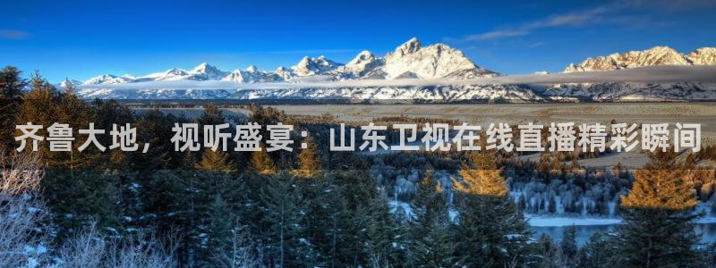 蜘蛛体育直播app下载官网：齐鲁大地，视听盛宴：山东卫视在线直播精彩瞬间