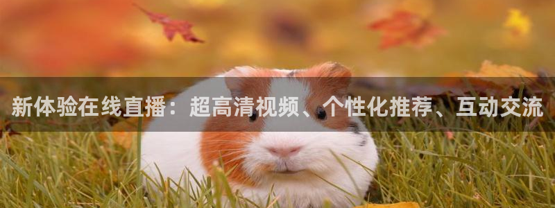 蜘蛛nba直播：新体验在线直播：超高清视频、个性化推荐、互动交流